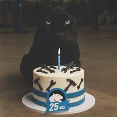 25 Years by Your Side – Celebrating a Quarter Century of Panther Pro Excellence