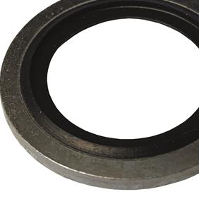 Sealing Washer