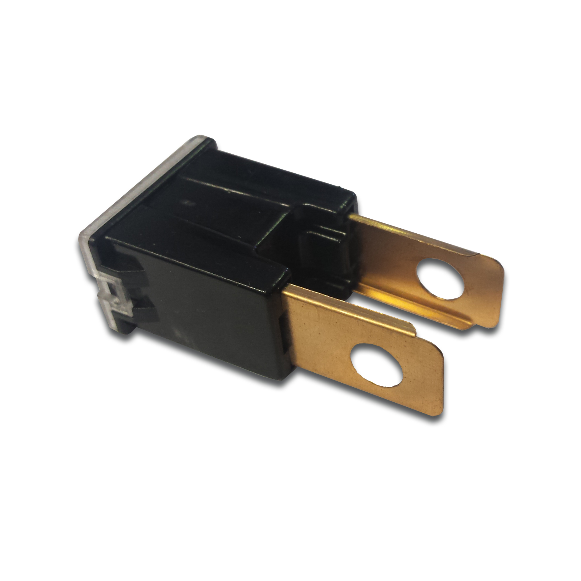 PAL Fuses (MALE) - 60 Amp Pk10