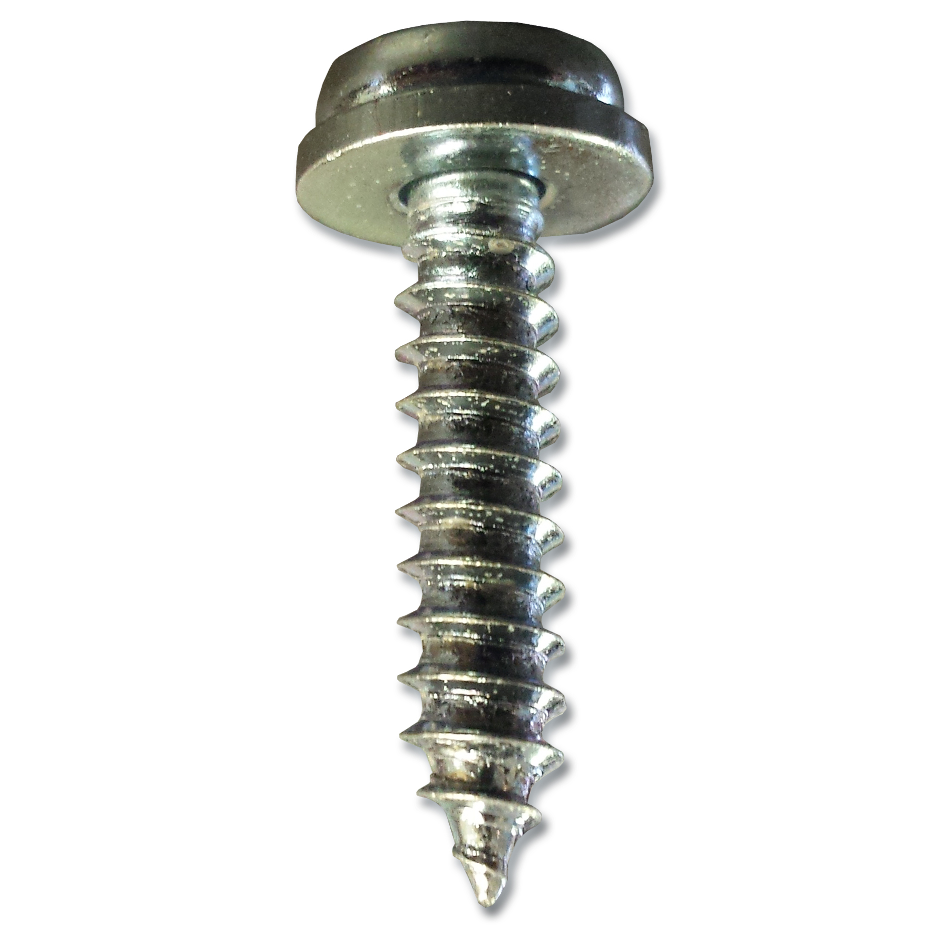 Plate Screw Zinc Finish Pk5025mm Thread Length x 5.5mm Thread