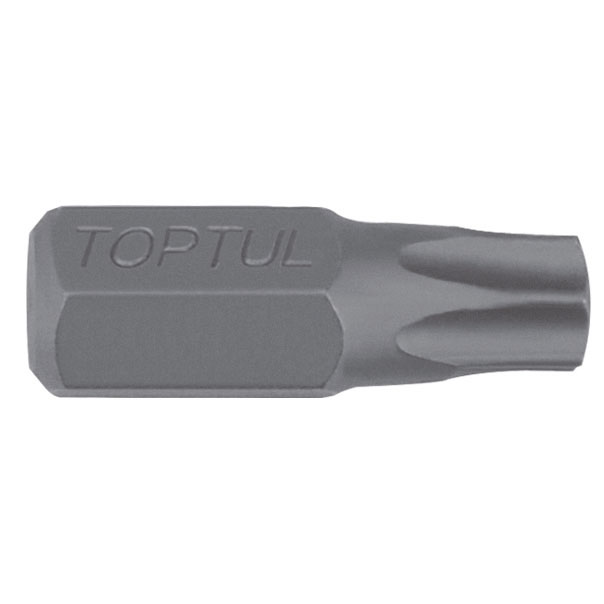 T20 x 10mm Hex x 30mm Long Bit